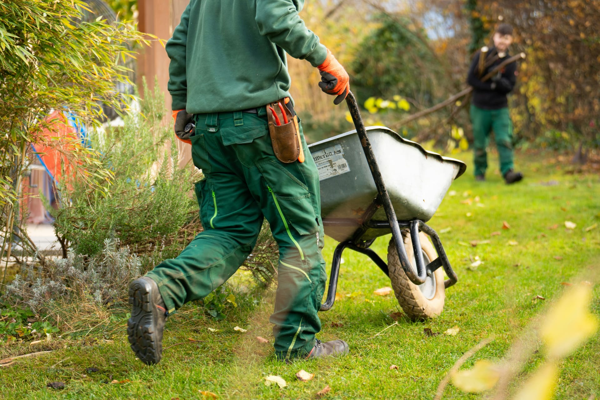 Beautiful professional landscaping design